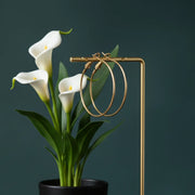 Chic Minimalist Anti-Tarnish Hoop Earrings - Gold & Silver Toned, Hypoallergenic & Nickel-Free