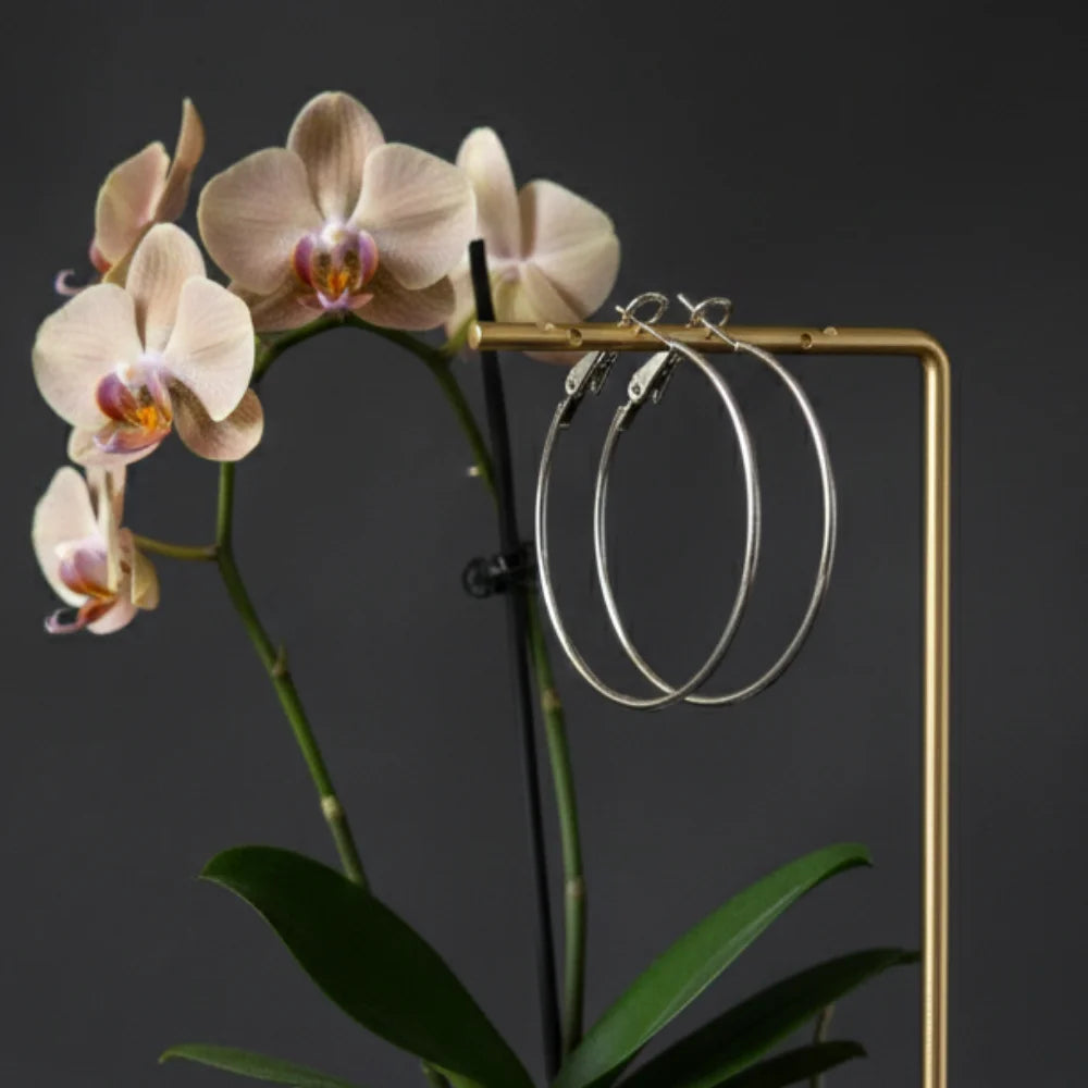 Chic Minimalist Anti-Tarnish Hoop Earrings - Gold & Silver Toned, Hypoallergenic & Nickel-Free